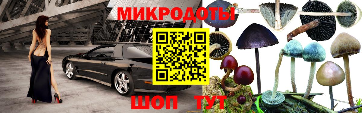 Псилоцибиновые грибы Cubensis Новоуральск